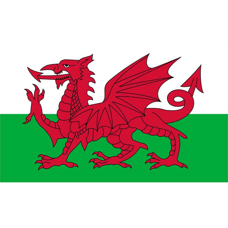 Welsh Dragon Flag 30 x 45cm-1